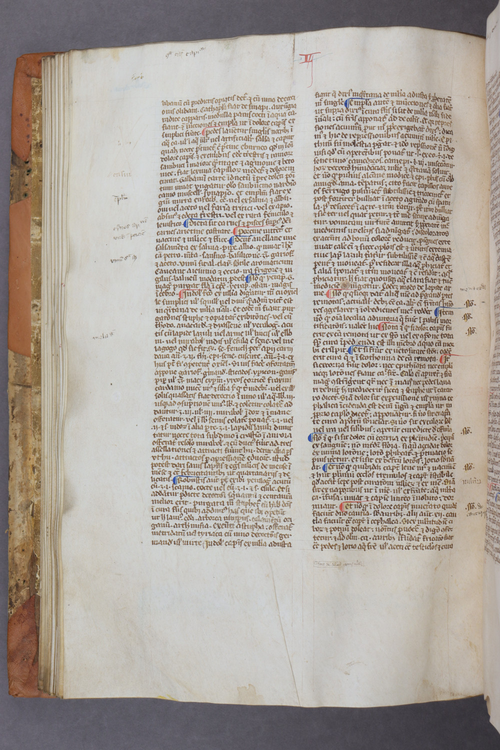 Folio 43 verso